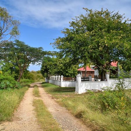 Gites Du Domaine De La Canne A Sucre Anse-Bertrand Kültér fotó